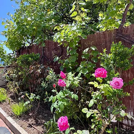 Casa vacanze Seaview - Evasion Pres De Monaco *